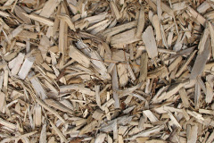 biomass boilers Elkstone